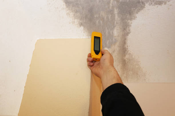 Riverside, CT Mold Removal Company