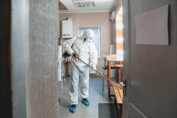 Best Mold Prevention Services  in Riverside, CT