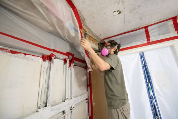 Asbestos and Lead Testing During Mold Inspection in Riverside, CT