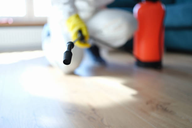 Best Indoor Air Quality Assessment  in Riverside, CT