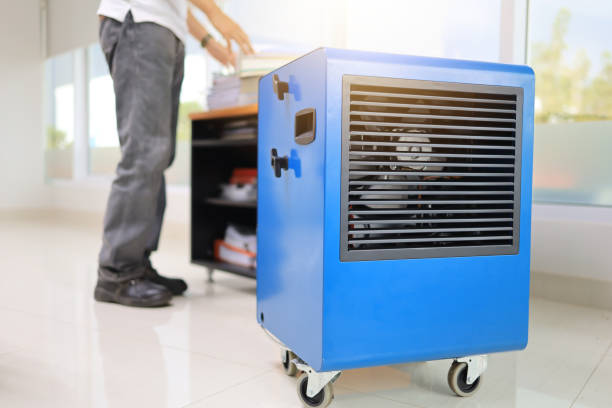 Best Mold Removal for HVAC Installations  in Riverside, CT