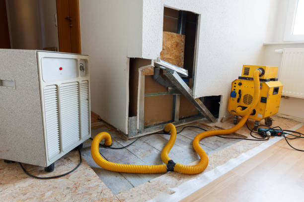 Best Biohazard Mold Removal  in Riverside, CT