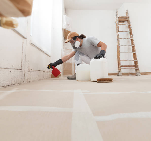 Best Basement Mold Removal  in Riverside, CT