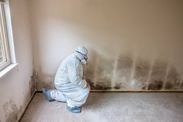 Best Air Quality Testing for Mold Spores  in Riverside, CT